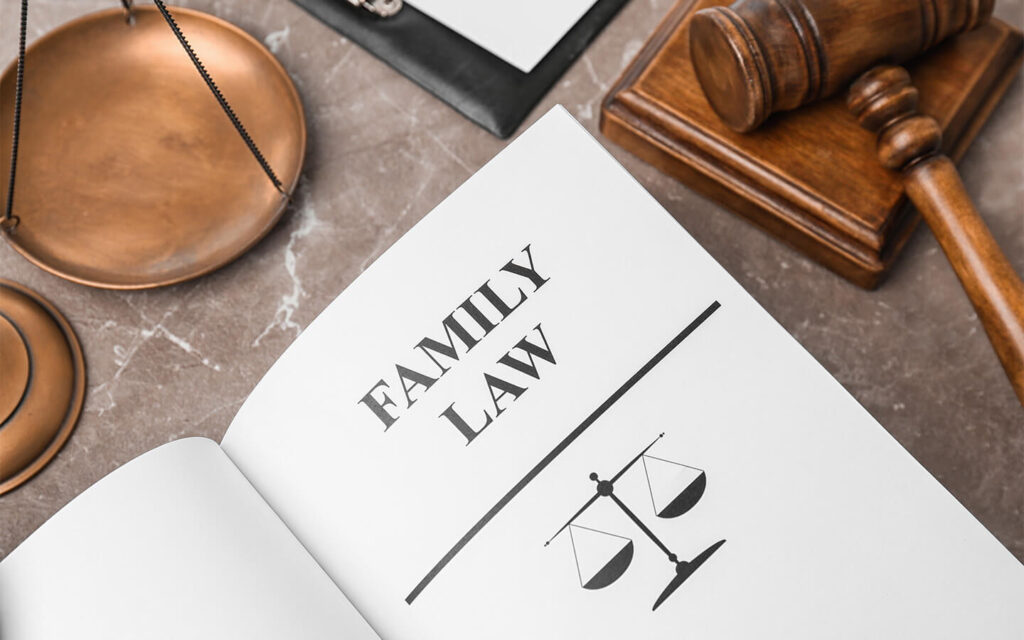 Civil Procedure Reform: Focus on Family and Minors